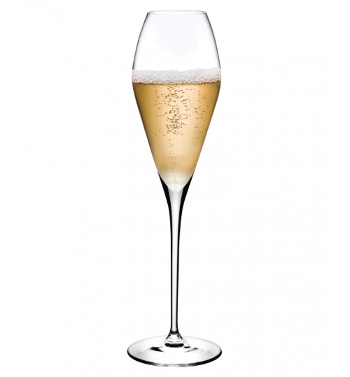 Champagne Glasses